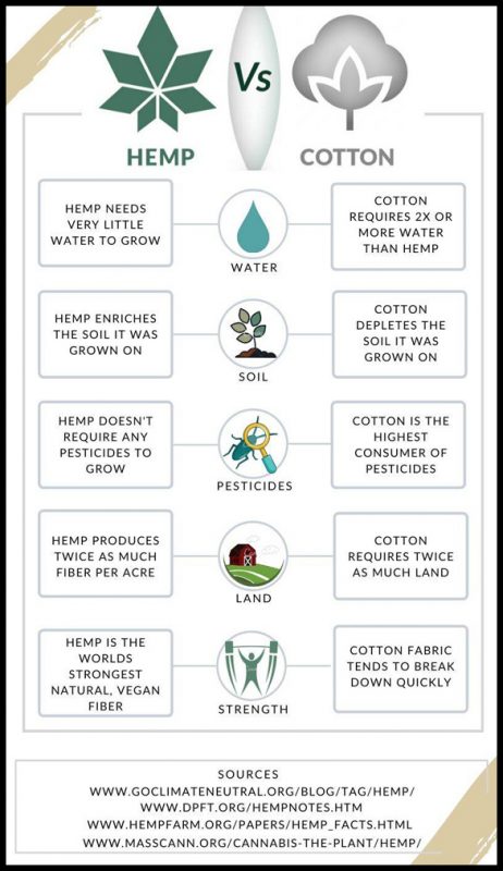 infograph: hemp vs cotton