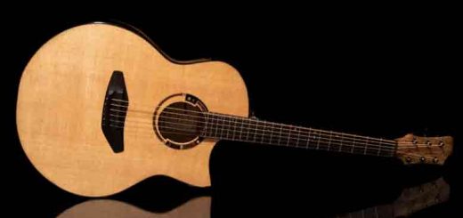 guitar made from hempwood